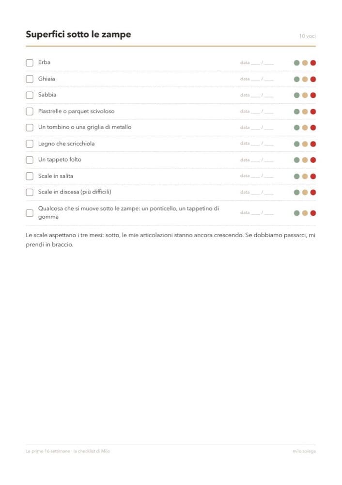 Una pagina intera della checklist con le voci da spuntare