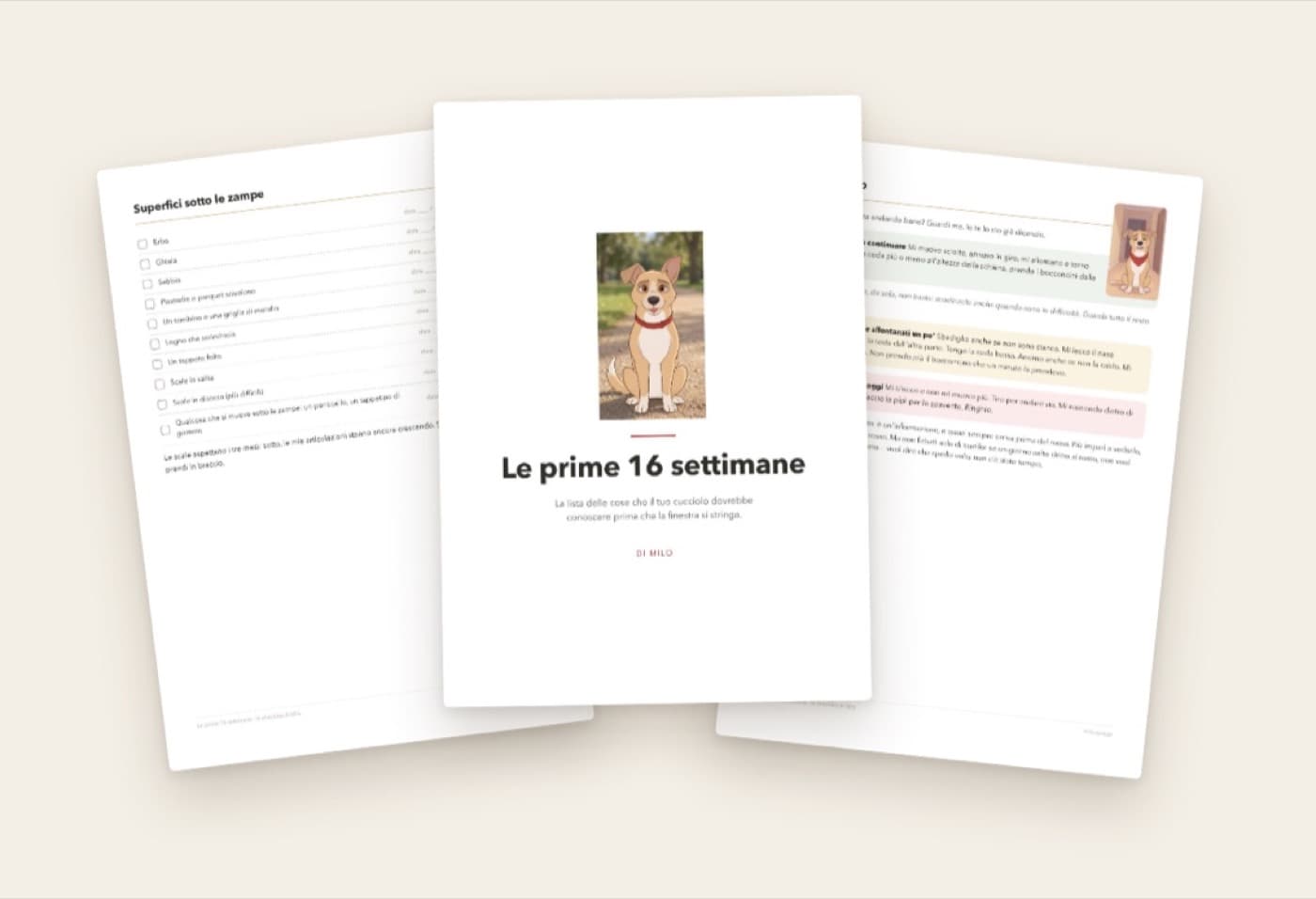 Tre pagine della checklist stampate: la copertina, il semaforo dei segnali e una delle liste da spuntare